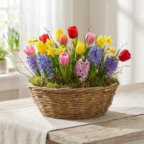 Artículo Maceta grande para flores, cesta con enredaderas, Ø40cm H13cm, decoración natural, adorno de mesa, pieza única