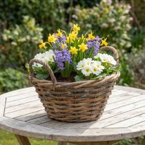 Artículo Decoración floral, cesta de madera con asas, macetero natural, blanco lavado Al12cm Ø24cm