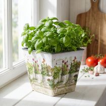 Artículo Maceta para hierbas, jardinera con motivo, jardinera H13cm W13,5cm