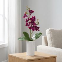 Artículo Pequeña orquídea Phalaenopsis flor artificial violeta oscuro 30cm