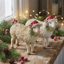 Artículo Figuras navideñas ovejas con gorro y bufanda L16cm 2 piezas