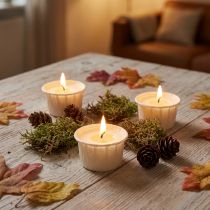 Artículo Light.one velas de té de papel natural sin plástico vegano 12uds
