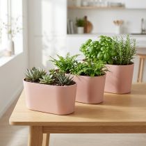Artículo Cuenco para plantas cuenco decorativo ovalado plástico rosa marrón 20×10×11cm 3ud