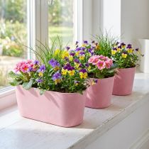 Artículo Recipiente para plantar en forma de barco, ovalado, rosa, 27 x 11 x 10 cm, 3 unidades