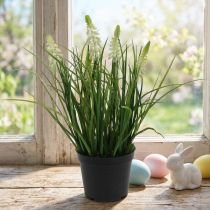 Artículo Deco crema de jacinto de uva en bote 26cm