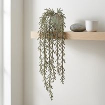 Artículo Zarcillo suculento colgante verde, bronce metálico 114cm