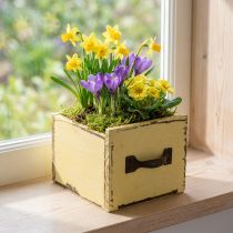 Artículo Cajón para plantas caja decorativa de madera para plantas amarillo 12,5 cm