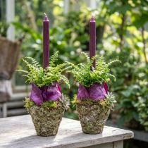 Artículo Maceta estilo rústico forestal Ø12,5cm H12cm 2uds