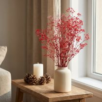 Artículo Gypsophila Gypsophila Flores Secas Rojas 50cm 55g