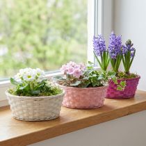 Artículo Cesta para patatas redonda violeta/blanco/rosa Ø25cm 6 uds.