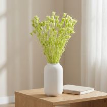 Artículo Flores de nigella secas, encantadora decoración natural para el hogar, 70 cm, 50 g