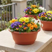 Artículo Macetero de plástico Ø27cm redondo terracota 5 uds
