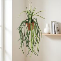 Artículo Cesta colgante de cactus de coral artificial Rhipsalis Al. 87 cm