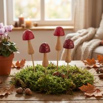 Artículo Estacas para flores, diseño de setas, estacas de madera, rojas, Ø2,5 cm, 8 unidades