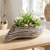 Artículo Planta barco planta ola ratán blanco natural 45x16cm
