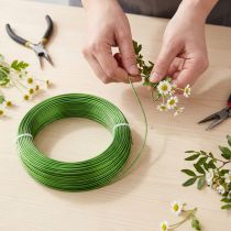 Artículo Alambre de aluminio Ø2mm Verde mayo 60m 500g Alambre decorativo Alambre para joyería Alambre para manualidades