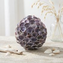 Artículo Bola de conchas Decoración marinera con conchas Bola decorativa violeta Ø12cm