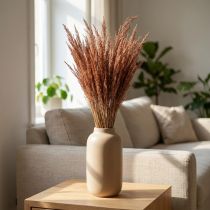 Artículo Hierba Doblada Roja Agrostis Hierba Seca Rojo Marrón 65cm 80g