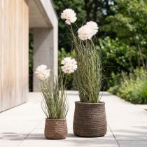 Artículo Flores artificiales bola decorativa flor allium cebolla ornamental artificial 54cm