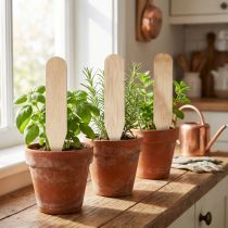 Artículo Estacas de jardín estacas de madera para hierbas &amp; Co 10cm 12uds