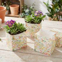 Artículo Bolsa de regalo bolsa de plantas bolsa de regalo estampada 10,5 cm 8 piezas