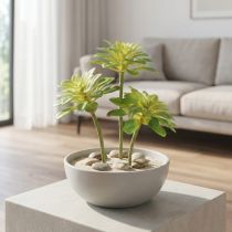 Artículo Planta suculenta artificial con púa Aeonium Green 30cm 4 uds