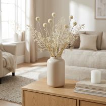 Artículo Hierbas secas pampas grass artificial crema allium, beige Al. 60 cm