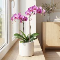 Artículo Enrejado de flores en forma de vara para orquídeas Pink Twister 38cm