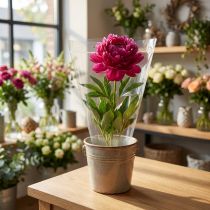 Artículo Embudo de embalaje Una bolsa de flores película W25cm H25cm 50 uds