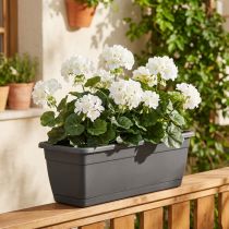 Artículo Arbusto de geranio blanco 38cm