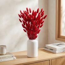 Artículo Hierba de cola de conejo (Lagurus) roja seca, 60 cm, 50 g, decoración de flores secas