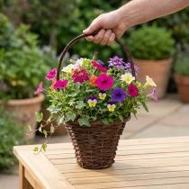 Artículo Cesta con asa, cesta rústica para plantar Ø24×H18cm