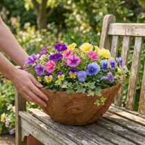 Artículo Cuenco de flores redondo, cuenco de fibra natural, cuenco de coco alrededor de 25 cm