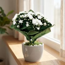 Artículo Kalanchoe artificial Flaming Käthchen blanco 24cm