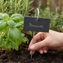 Artículo Losas de pizarra natural Plug Plant Signs Negro 25cm