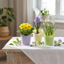 Artículo Macetero tejido macetero de papel verde, amarillo, morado Ø7cm H13cm 12ud