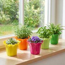 Artículo Jardinera para plantas en maceta, de colores surtidos. Ø10,5cm 10 piezas