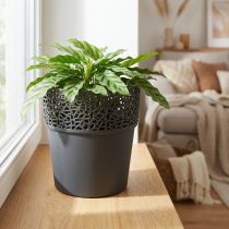 Artículo Jardinera maceta de plástico antracita Ø14,5cm H15,5cm