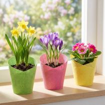 Artículo Jardinera de papel tejido rosa, amarillo, verde Ø7cm H13cm 12ud