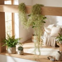 Artículo Tillandsia decorativa colgante Tillandsia artificial verde blanco 180cm