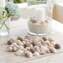Artículo Decoración de conchas mini caracoles 1–3 cm 340 g