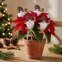 Artículo Plug flor regalo gnomo navideño 6x7cm 12uds
