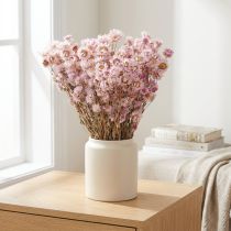 Artículo Ramo de Flores Secas Decoracion Seca Manzanilla Rosa 65cm 50g