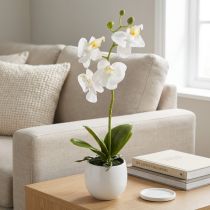 Artículo Orquídea blanca artificial en maceta Phalaenopsis H33cm