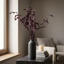 Artículo Canastilla de hoja ancha Chasmantium Violeta 70cm 10pzs