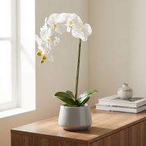 Artículo Planta de orquídea artificial, engañosamente realista, para decoración de oficina y sala de estar, 62 cm