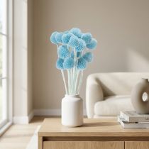 Artículo Decoración de flores secas de Craspedia para jarrón, estilo minimalista, decoración veraniega de larga duración, 55 cm, 20 unidades.