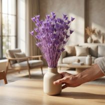 Artículo Ramo de flores secas de nigella, ideal para decorar el salón, crea un ambiente único. 70 cm, 50 g.