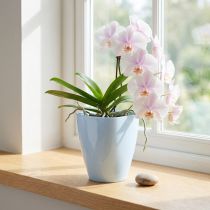 Artículo Macetero orquídea brillante Ø12,5cm blanco 1ud