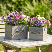 Artículo Jardinera cajón de madera gris lavado 15×15cm/12×12cm set de 2